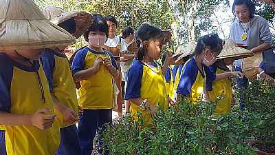 photo
